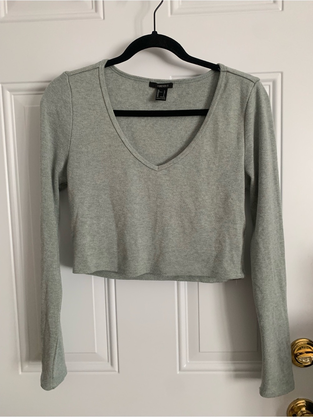 Forever 21 long sleeve crop top